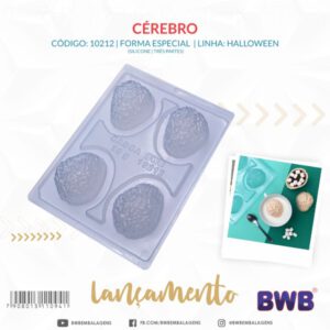 BWB hersenen